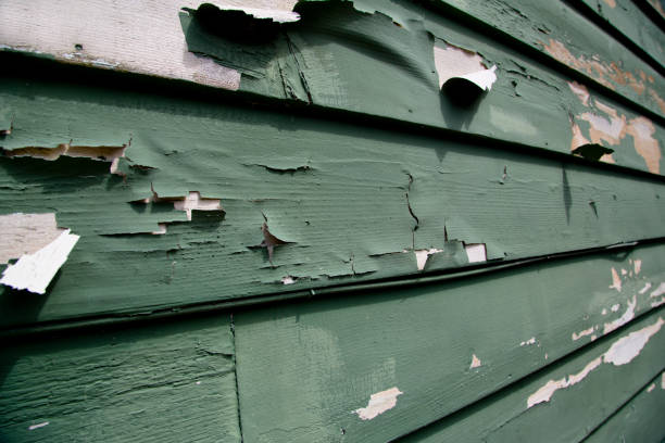 Best Construction Debris Removal  in East Northport, NY