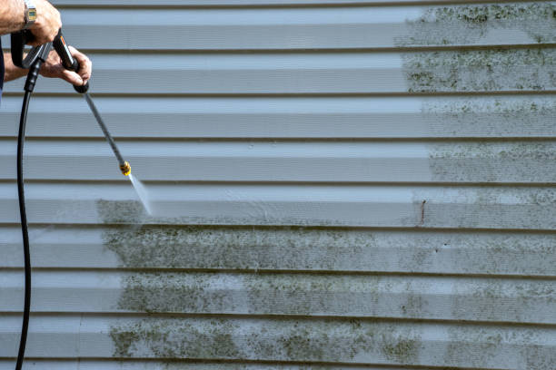 Best Property Management Cleanouts  in East Northport, NY